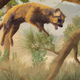 Artist’s reconstruction of Corumictis wolsani.